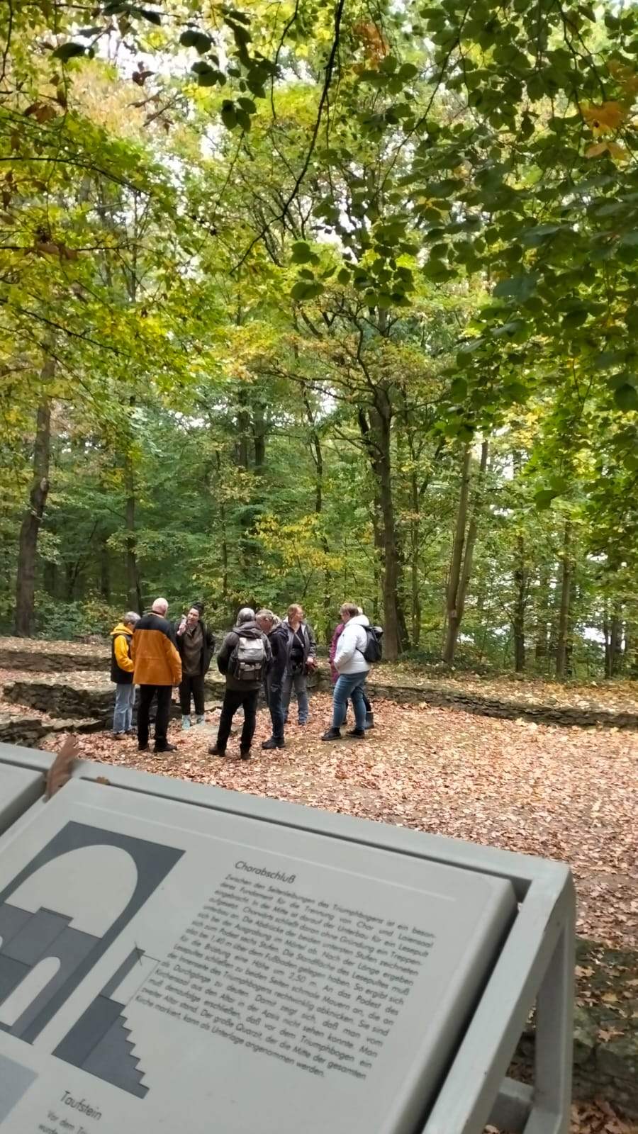 WaldAusZeit im Herbst: Impression 2