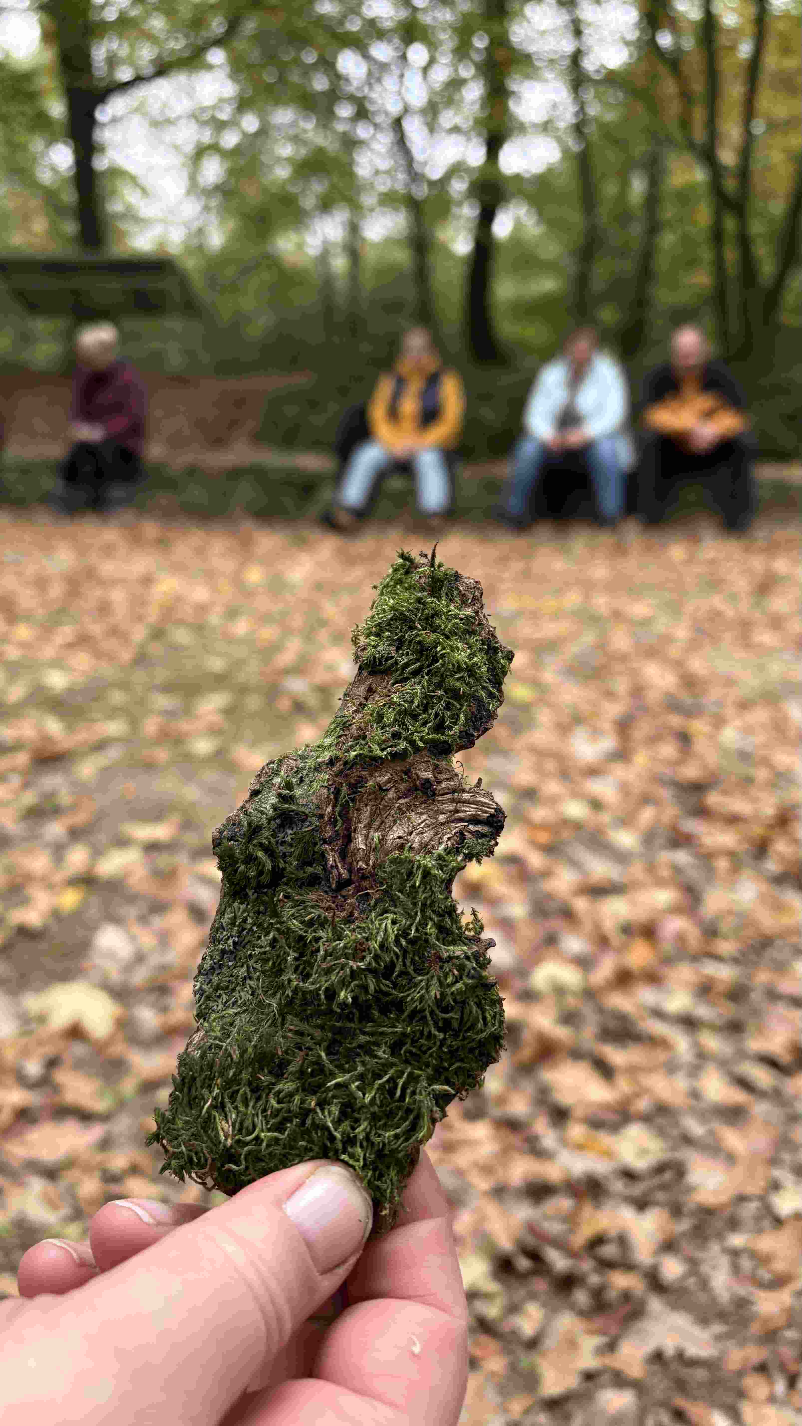WaldAusZeit im Herbst: Impression 5