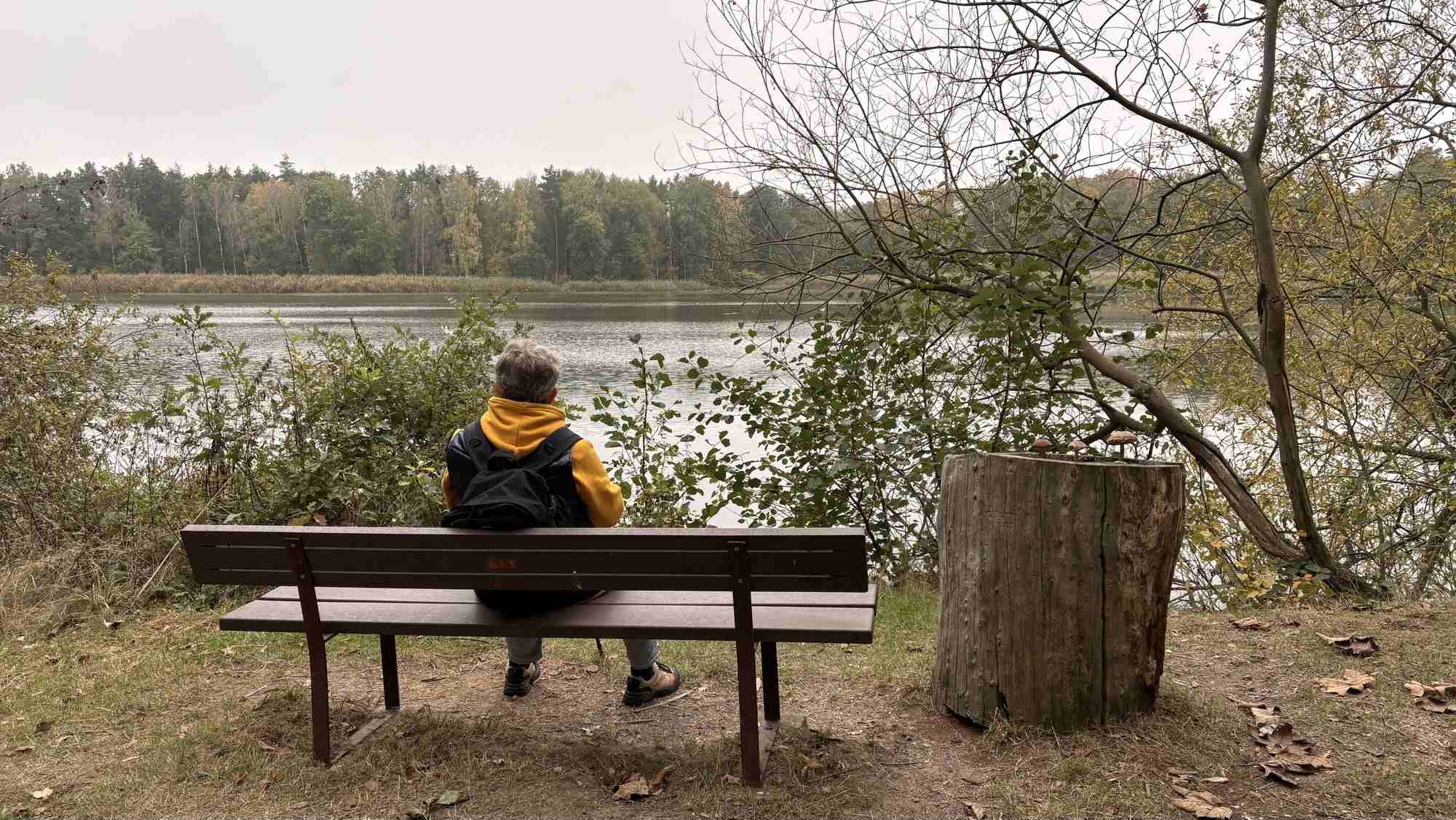 WaldAusZeit im Herbst: Impression 7