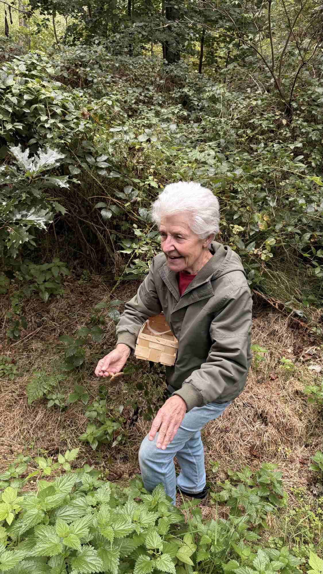 Entdeckung am Wegesrand